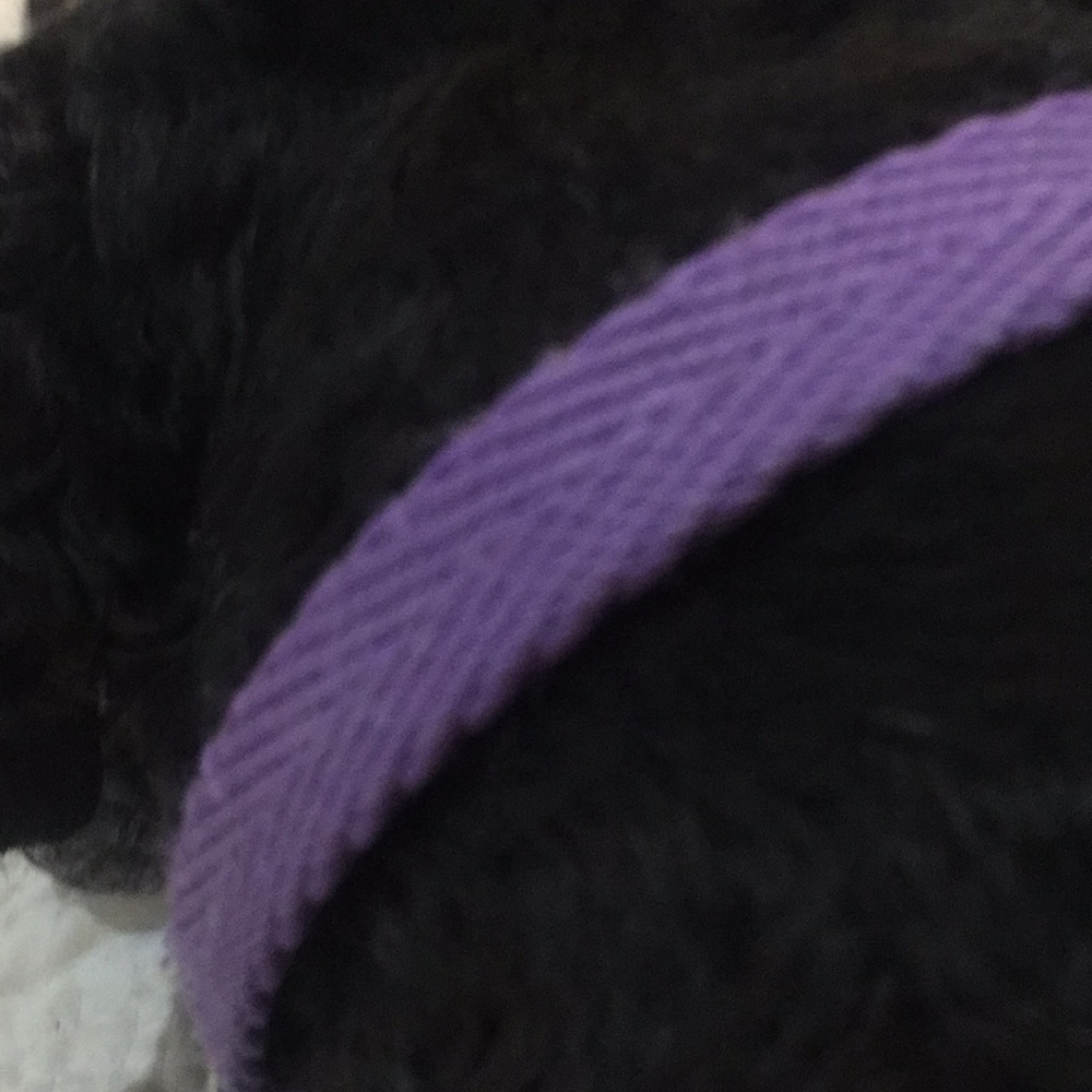 Meet your Posher, Sylvia